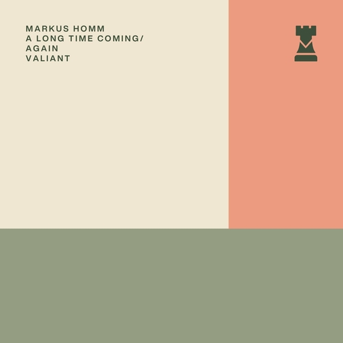 Markus Homm - A Long Time Coming - Again [VALR046I]